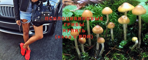 амфетамин Каменногорск