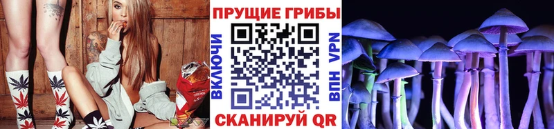 Купить закладки  Вязьма  Псилоцибиновые грибы прущие грибы 